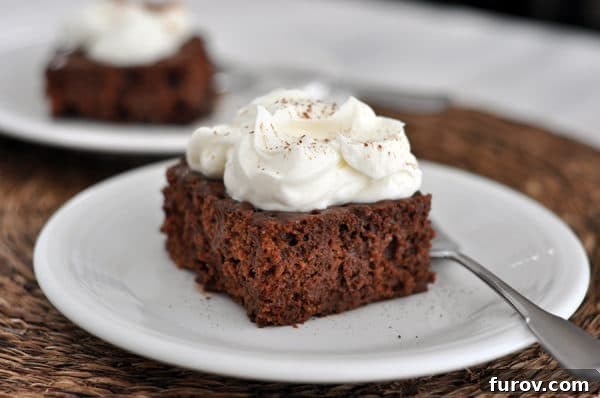 A pristine white plate holding a generous slice of chocolate tres leches cake, elegantly topped with fluffy whipped cream and a sprinkle of cocoa.