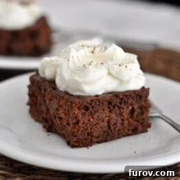 Chocolate Tres Leches Cake topped with whipped cream and cocoa powder.