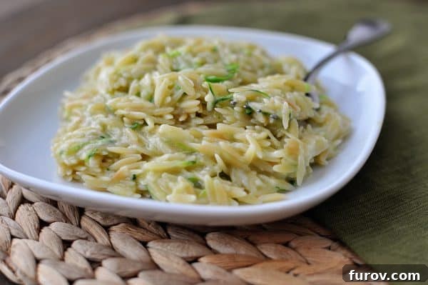 Creamy toasted orzo with fresh herbs in a white plate, ready to be served.