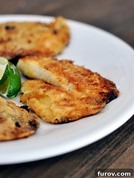 Baked tilapia fillets on a white plate, with lime slices in the middle of the plate. Close-up view of cooked fish.