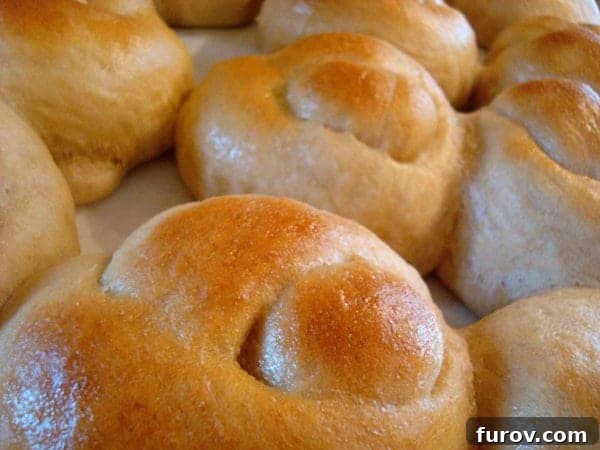 Golden brown garlic knots freshly baked in a sheet pan, ready to be served.