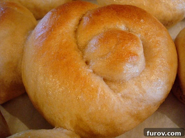 A single golden brown baked garlic knot, perfectly shaped, resting on a surface.