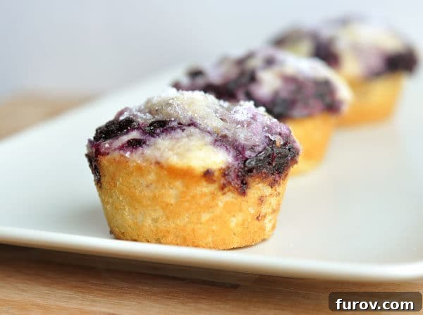 Bursting Blueberry Bliss Muffins 2 Three blueberry muffins lined up in a row on a white plate, showcasing their golden tops and visible blueberries.