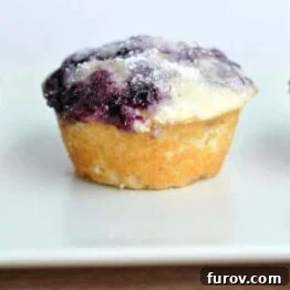 Blueberry muffins with lemon sugar topping.