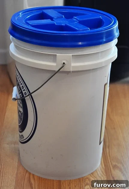 Wheat Grinding 101: From Grain Types to Sourcing and Culinary Applications 11 a 5 gallon bucket with a blue lid