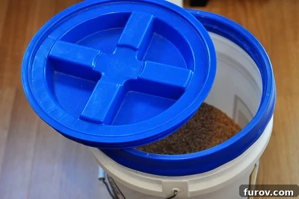Wheat Grinding 101: From Grain Types to Sourcing and Culinary Applications 12 a bucket full of wheat kernels with a blue lid on top