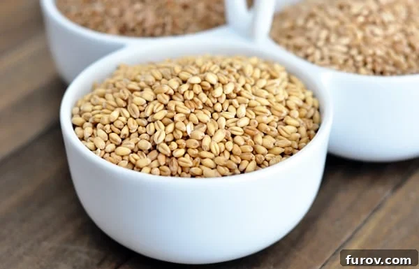 Wheat Grinding 101: From Grain Types to Sourcing and Culinary Applications 4 a white bowl full of soft white wheat kernels