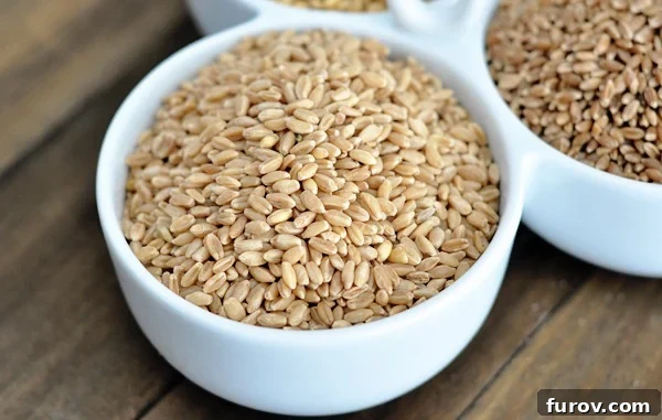 Wheat Grinding 101: From Grain Types to Sourcing and Culinary Applications 6 a white bowl full of hard white wheat kernels
