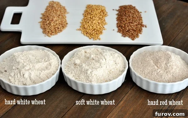Wheat Grinding 101: From Grain Types to Sourcing and Culinary Applications 7 three bowls with different types of ground wheat in them