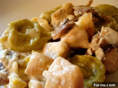 Creamy Chicken Tortellini Bake 2 Delicious and comforting Chicken Tortellini Bake ready to be served, showcasing pasta, chicken, and melted cheese.