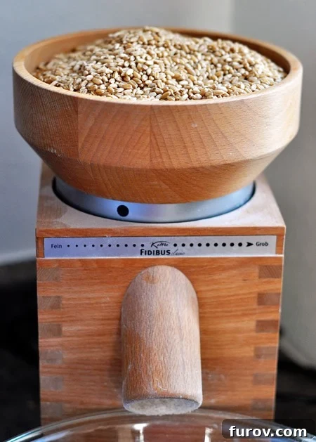 The Essential Guide to Wheat Grinders: 60+ Top Models Reviewed 5 A wheat grinder with its hopper full of wheat berries, poised to begin grinding.