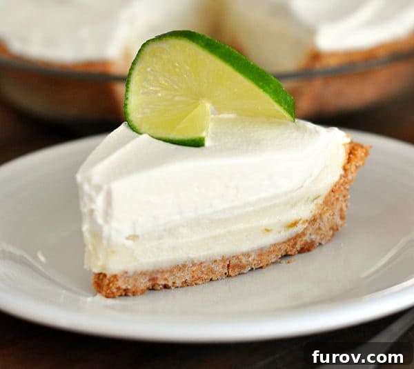A close-up of a slice of sour cream lime tart on a white plate, elegantly garnished with a twisted slice of fresh lime.