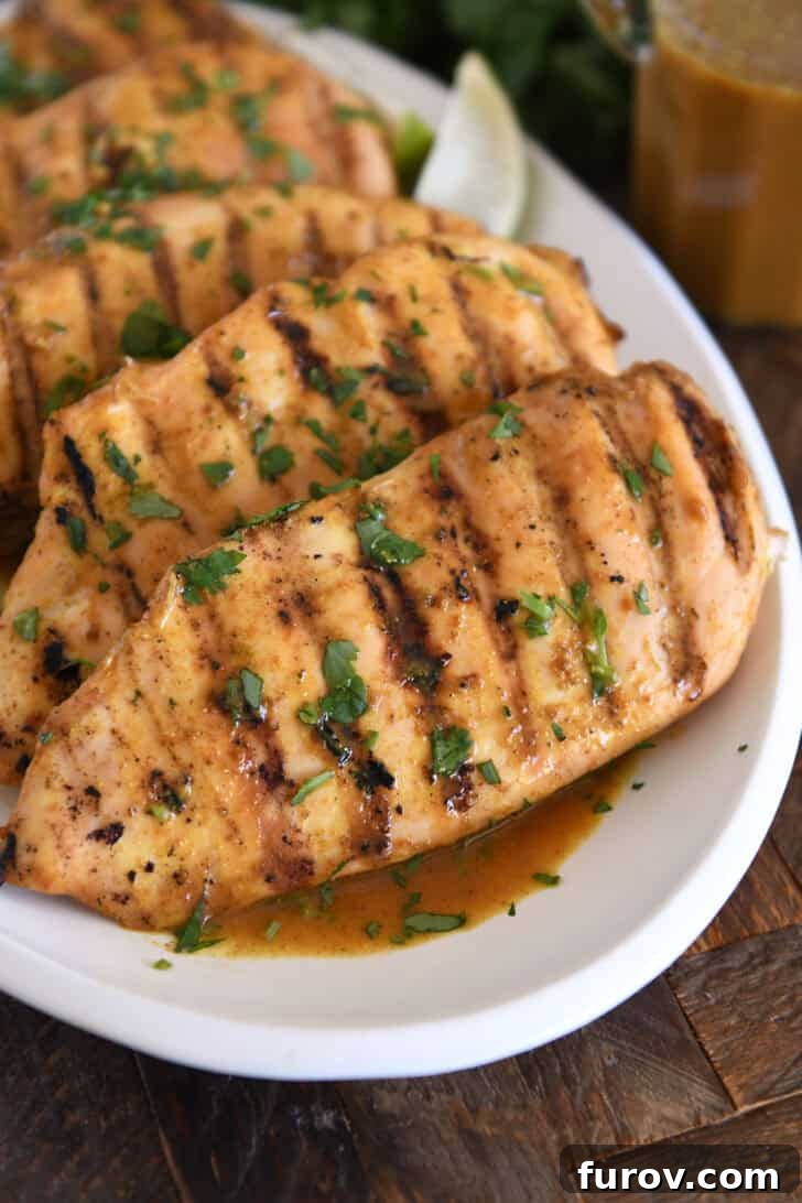 Juicy grilled chicken breasts garnished with fresh cilantro and a rich sauce, elegantly presented on a pristine white tray.