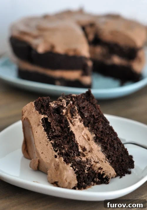 Decadent Gluten-Free Chocolate Fudge Cake with Silky Frosting 2 A glorious two-layer gluten-free chocolate cake, generously frosted with rich chocolate, served elegantly on a white plate. Each bite promises a super moist and fudgy experience, truly the best gluten-free chocolate cake you'll ever taste.
