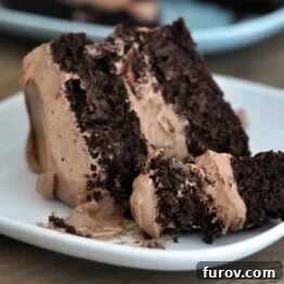 Decadent Gluten-Free Chocolate Fudge Cake with Silky Frosting 5 A slice of the amazing gluten-free chocolate cake with two layers and chocolate frosting.