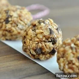 Close-up of No-Bake Granola Bites featuring visible chocolate chips and oats.