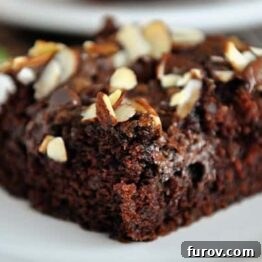 Chocolate Zucchini Cake with Brown Sugar Streusel