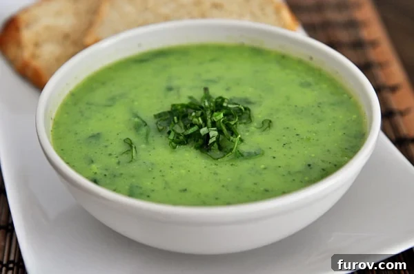 White bowl full of vibrant green basil spinach soup topped with chopped chives, showcasing its rich, creamy texture.