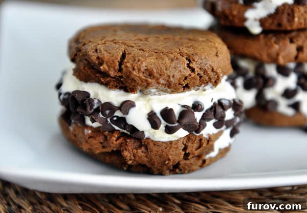 A perfectly assembled pumpkin chocolate chip ice cream sandwich on a white plate, showcasing the soft cookie and creamy vanilla ice cream filling.