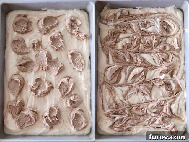 Dots of cinnamon and sugar over cake batter; cinnamon and sugar swirled into cake batter.