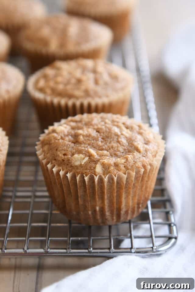 A freshly baked healthy applesauce oat muffin, still in its paper wrapper, resting on a wire rack to cool. The muffin shows a golden-brown top and a hint of oats.