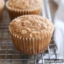 A healthy applesauce oat muffin on a wire rack, golden brown and speckled with oats, representing the perfect homemade treat.