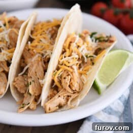 A white plate with three shredded chicken tacos topped with cheese in flour tortillas and a lime wedge next to the tacos.