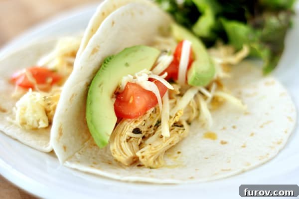 Two shredded chipotle chicken tacos with avocado slices and tomatoes, ready to serve.