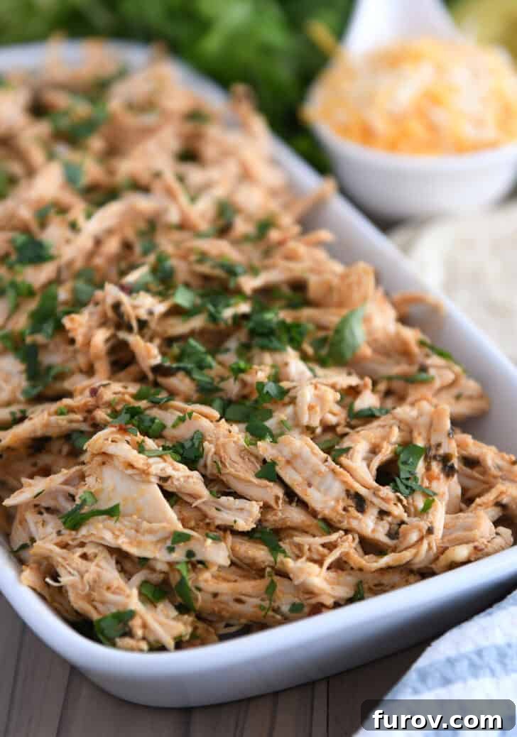 A white dish filled with shredded cooked and seasoned chipotle chicken sprinkled with green herbs.