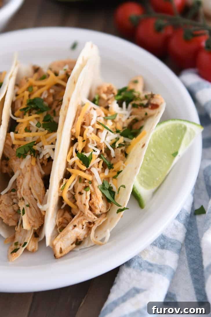 A white plate with assembled shredded chipotle chicken tacos topped with cheese and chopped cilantro.