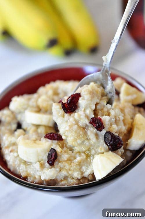 A rustic bowl filled with perfectly cooked steel cut oats, adorned with vibrant banana slices and dried cranberries, showcasing the dish's inviting texture.