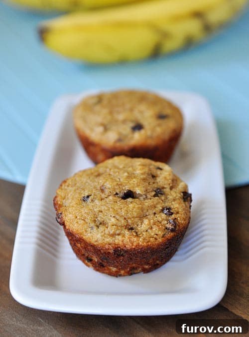 A white rectangular dish presenting two perfectly baked whole grain banana chocolate chip muffins side-by-side, showcasing their inviting texture.