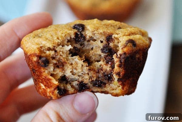 A hand holding a whole grain banana chocolate chip muffin with a noticeable bite taken out, emphasizing its texture and filling.