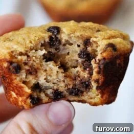 A single whole grain banana chocolate chip muffin with a bite taken out, perfect for sharing the recipe.