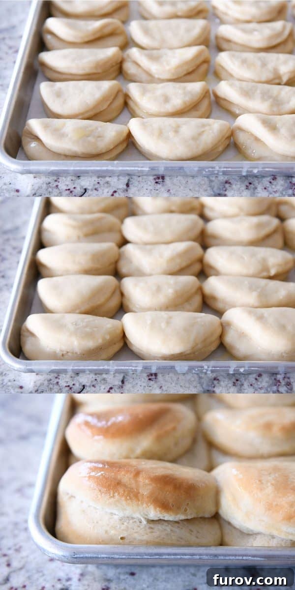 Cloud-Soft Parker House Rolls 6 Fluffy 2-hour Parker house rolls rising on sheet pan.