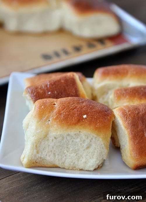 Cloud-Soft Parker House Rolls 9 parker house rolls on a white plate