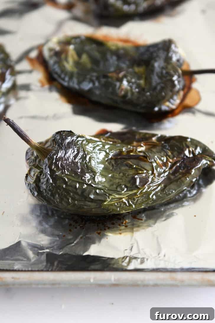 Roasted green chile peppers cooling on a tinfoil-lined cookie sheet after being broiled.