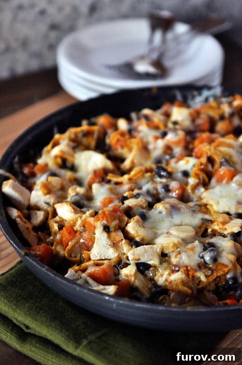 A cast iron skillet full of a cheesy black bean enchilada dinner, topped with melted cheese and fresh cilantro.