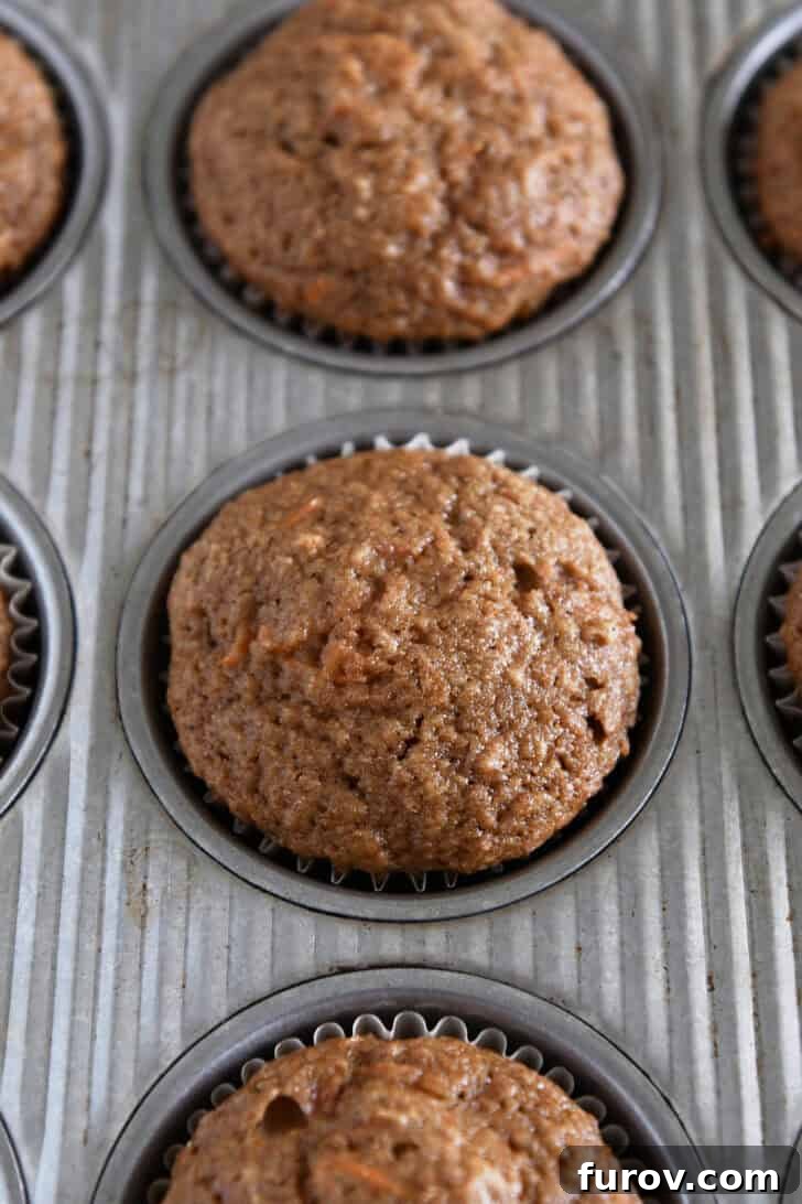 Healthy Carrot Cake Muffins with Applesauce 6 Warm, baked carrot cake muffins still in their lined muffin tins.