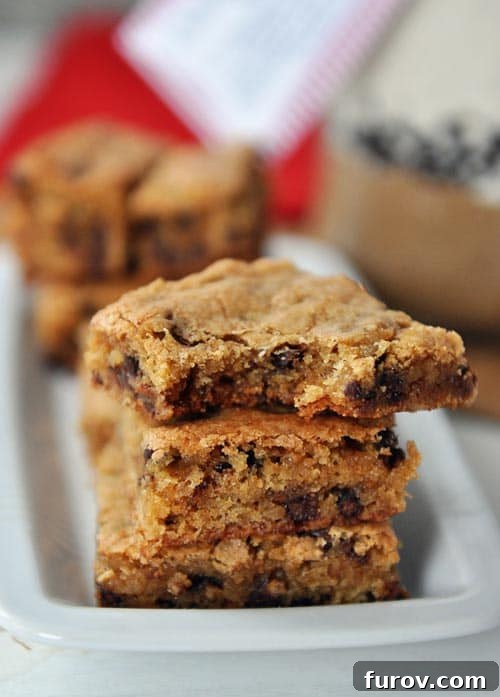 Blondie Indulgence Jar 3 A stack of four golden-brown, chewy chocolate chip toffee blondies, showing off their rich texture and embedded chips and toffee bits. Ideal for dessert lovers.
