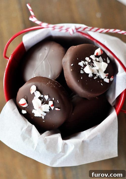 Homemade chocolate-dipped peppermint patties, topped with festive crushed candy canes, beautifully presented in a small red bucket, ready for gifting.