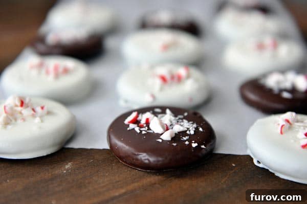 A close-up of freshly dipped homemade thin mint cookies, half in dark chocolate and half in white chocolate, some topped with festive crushed candy canes.