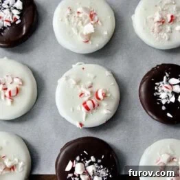 A beautifully arranged plate of homemade thin mint cookies, showcasing their perfect round shape and luscious chocolate coating.