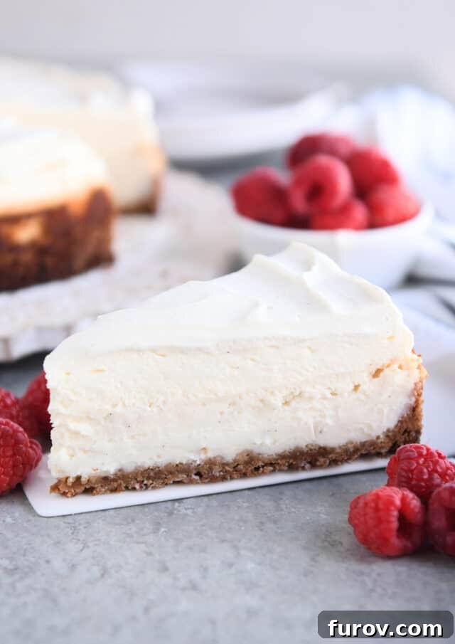 Slice of vanilla bean cheesecake on white serving spatula with raspberries.