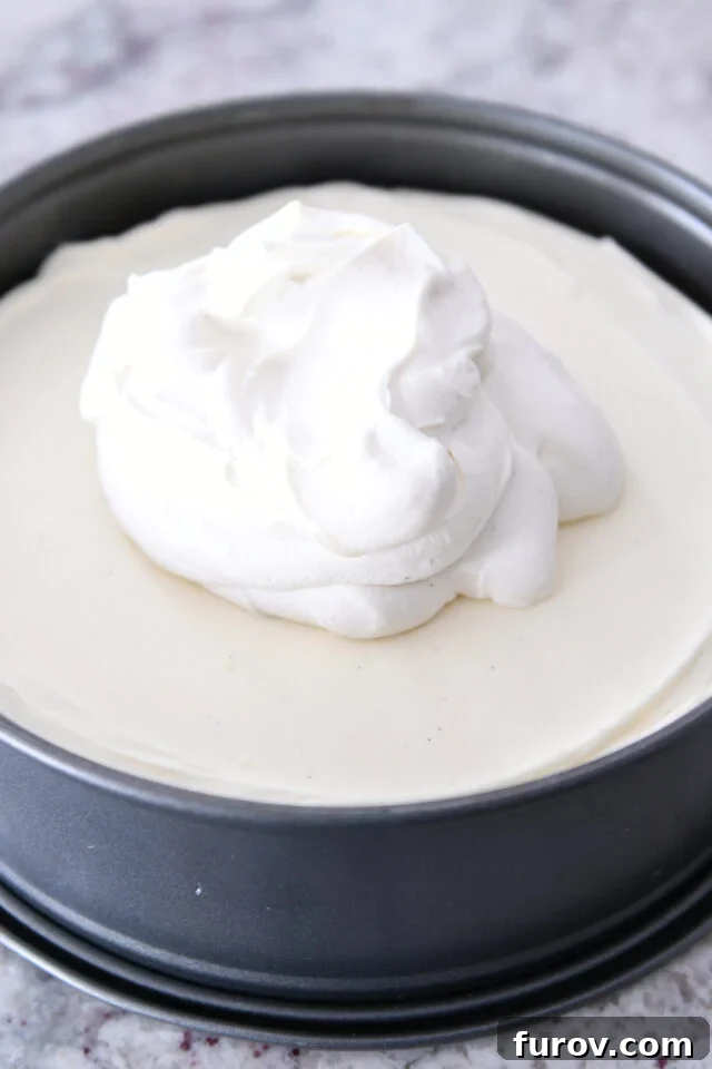 Huge dollop of whipped cream on top of cheesecake.