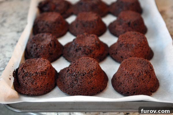 Twelve mini chocolate cakes, freshly baked and overturned, cooling on a cookie sheet, showcasing an alternative baking method using a muffin tin.