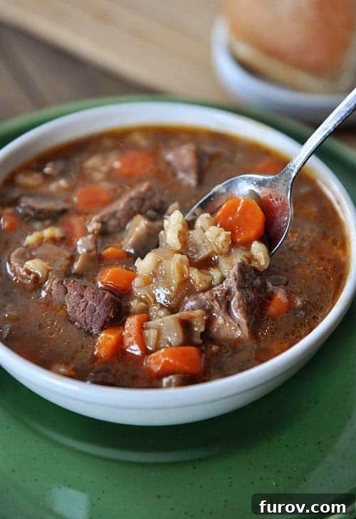 A white bowl full of rich slow cooker beef, tender barley, and vibrant carrot stew, with a spoon ready for a bite.