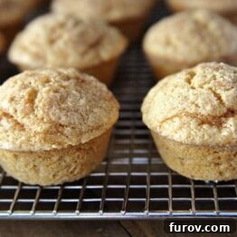 A close-up of a stack of cinnamon and sugar dusted coconut vanilla muffins.