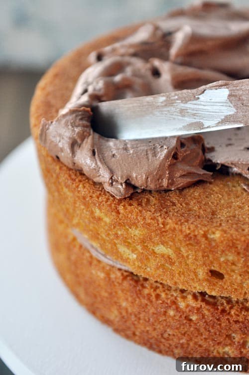 A double decker cake getting frosted with rich, whipped chocolate frosting.