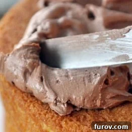 Rich, creamy whipped chocolate buttercream frosting in a bowl, ready to be spread.